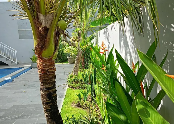 Pulmo Residen Casa vacanze *